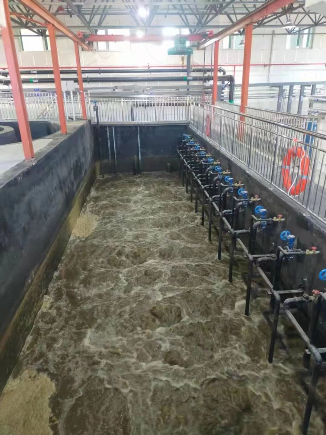 制药废水处理PEIC厌氧反应器 制药废水处理PEIC厌氧反应器